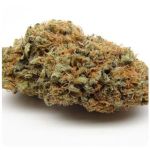 Шишки AK47 (Гидропоника, Бошка) VHQ в Кувандыке Шишки AK47 (Гидропоника, Бошка) VHQ в Кувандыке